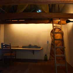 コフニア/提供画像