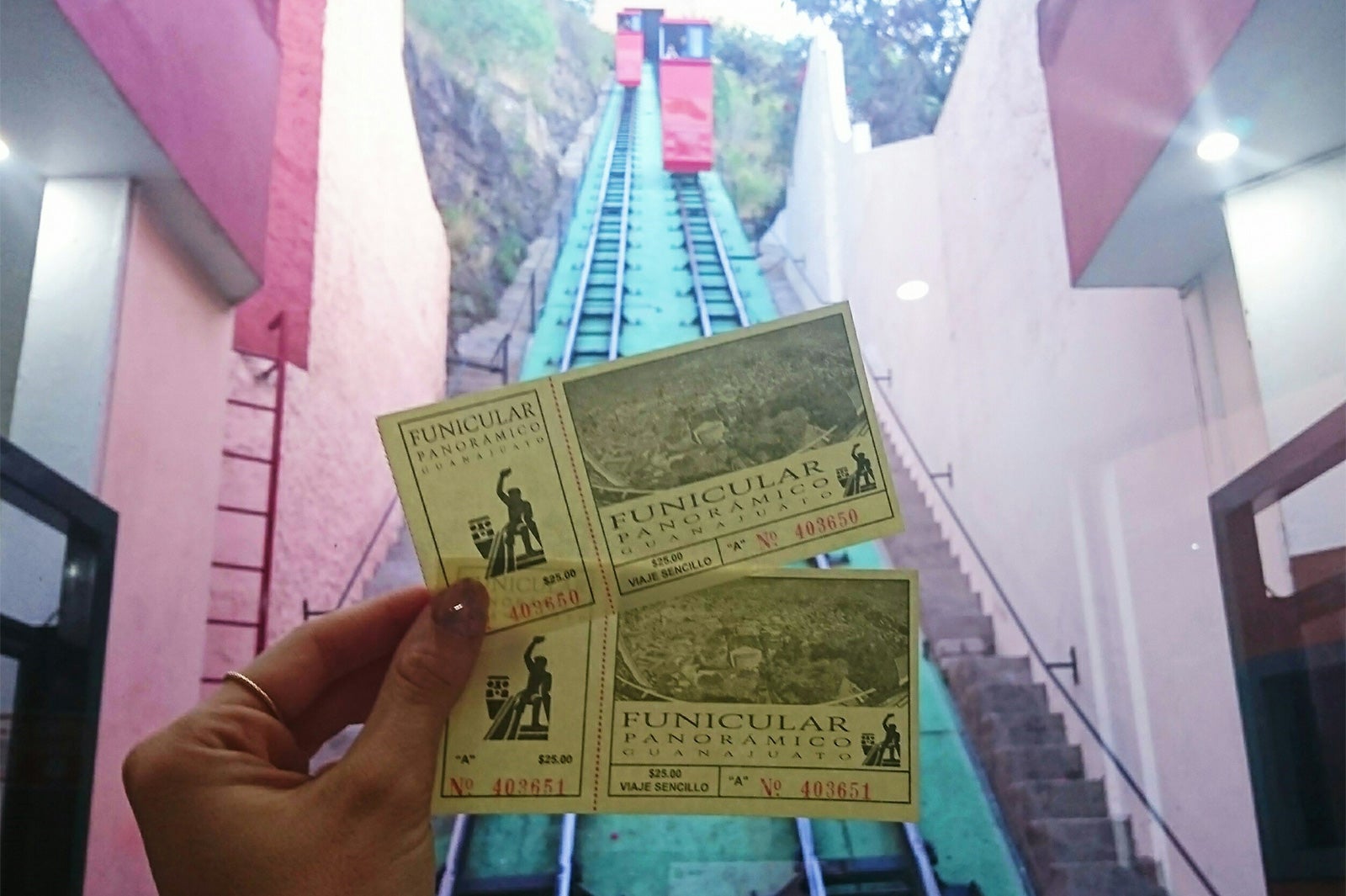 画像提供：所属事務所