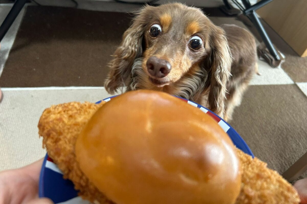 『盛りすぎ!メンチバーガー』とちるくん