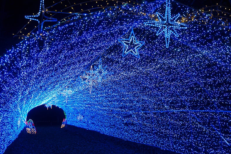 「小岩井ウインターイルミネーション 銀河農場の夜」／画像提供：小岩井農牧