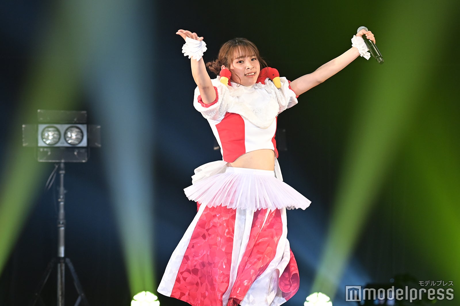 豆柴の大群（C）モデルプレス