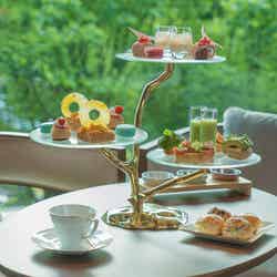 TIAD,オートグラフ コレクション/提供画像