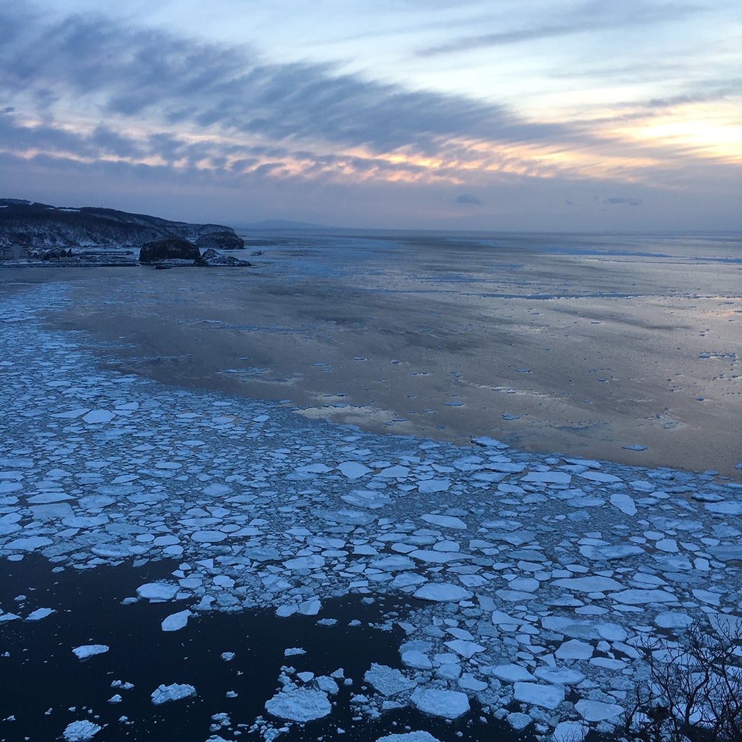知床の流氷（提供写真）