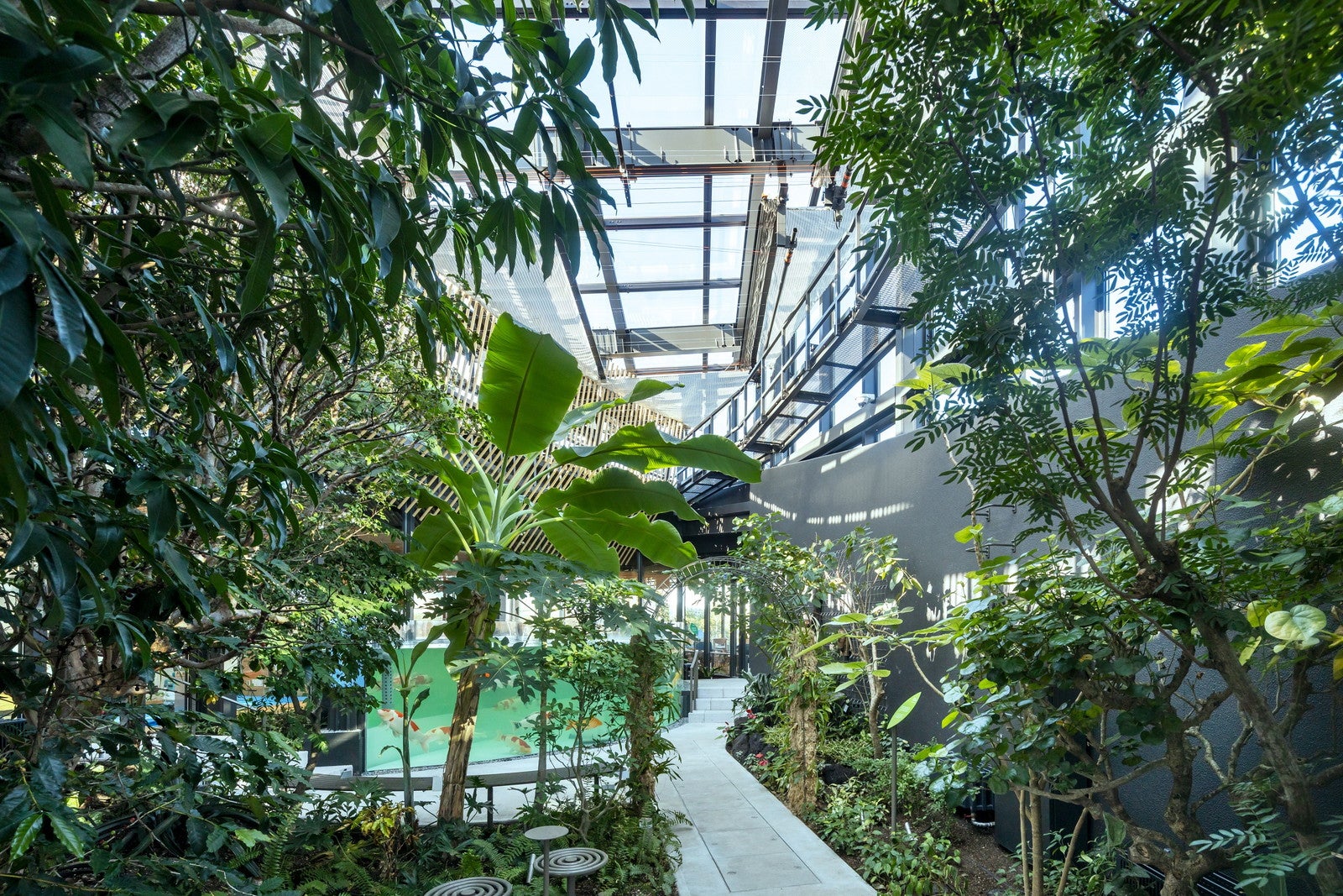 植物園「めぐりの森」／提供画像