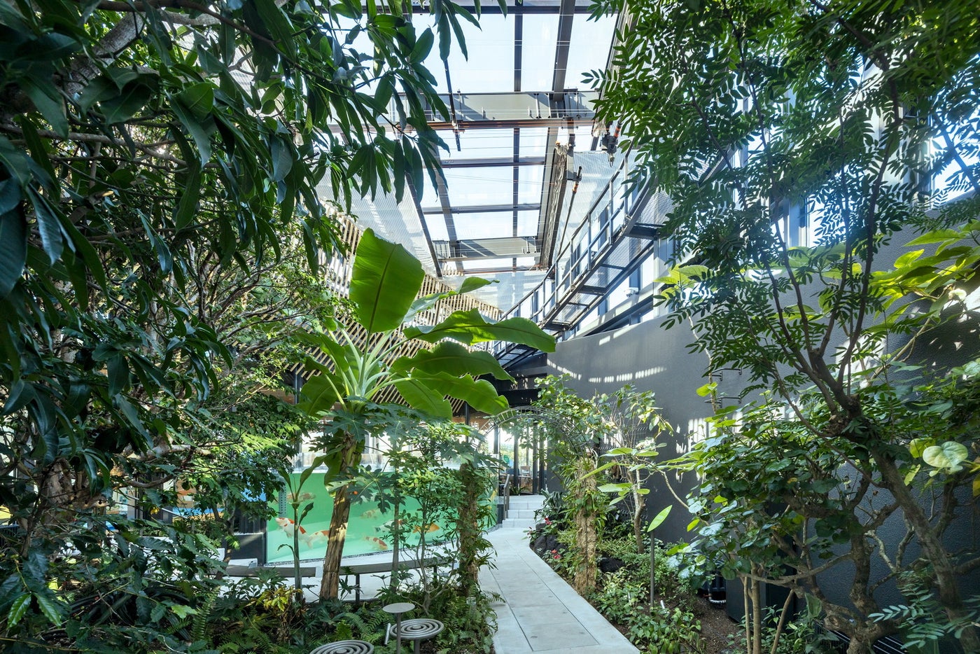 植物園「めぐりの森」/提供画像