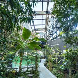 植物園「めぐりの森」/提供画像