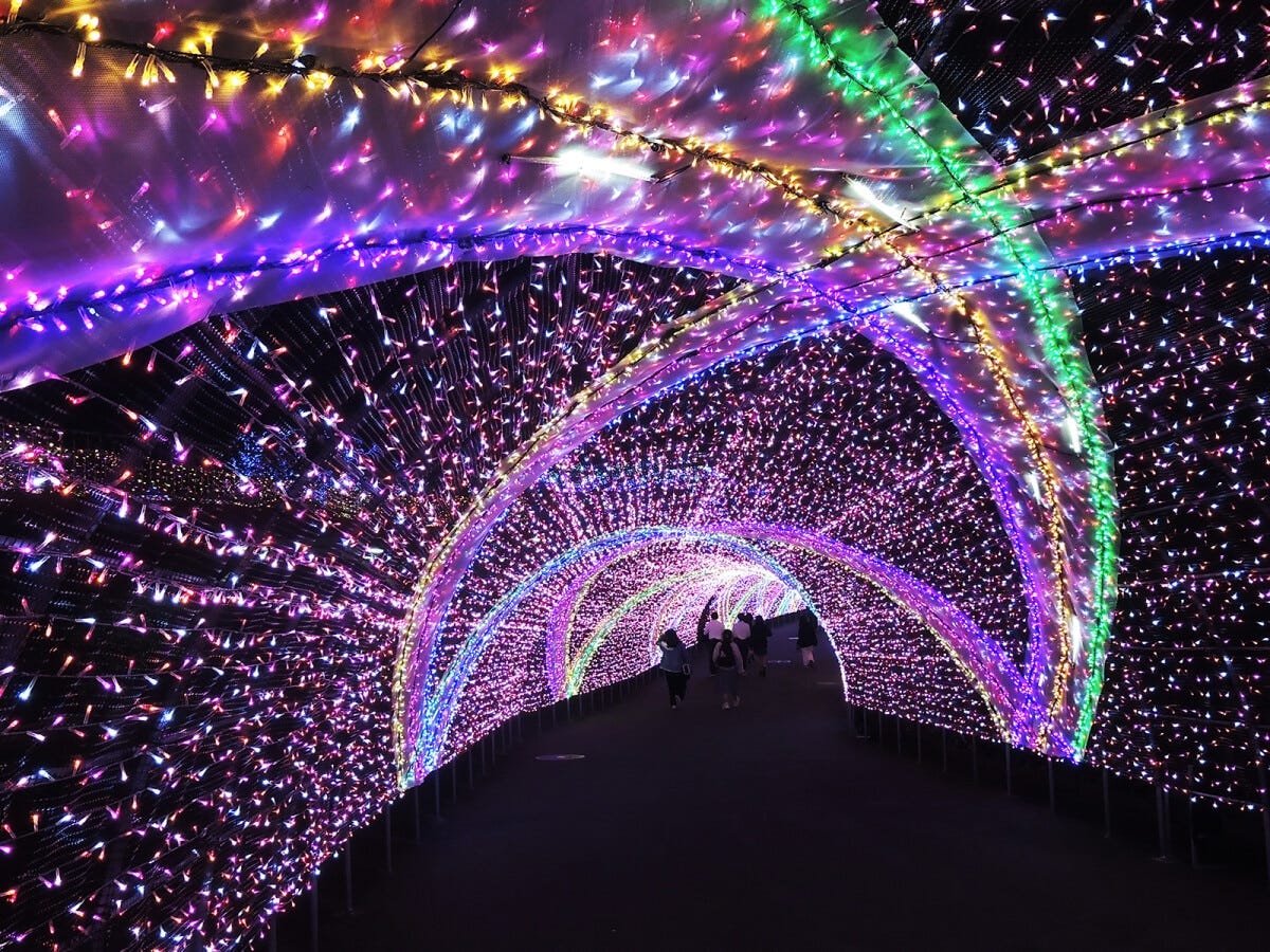 今年はパッション・ジュエリーカラーの暖かい光がベース。カラフルなラインが“人々の愛”を表現しています