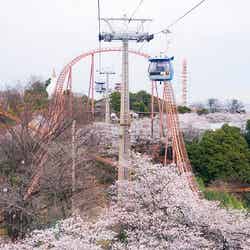 画像提供:よみうりランド