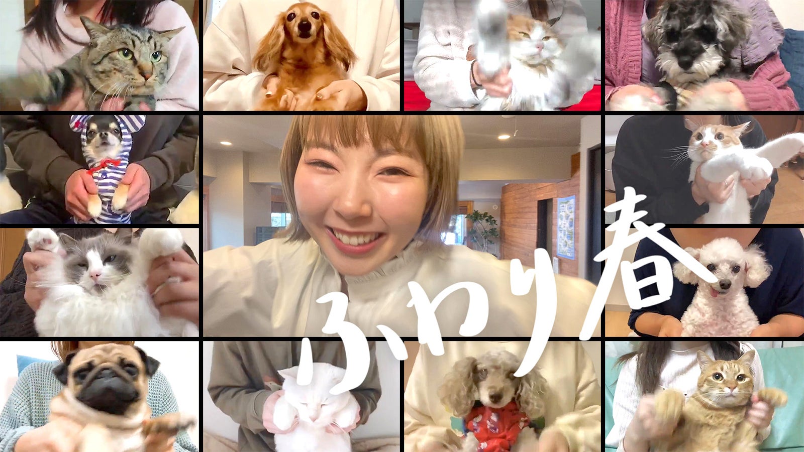 あさぎーにょ「ふわり春」MVより（提供写真）