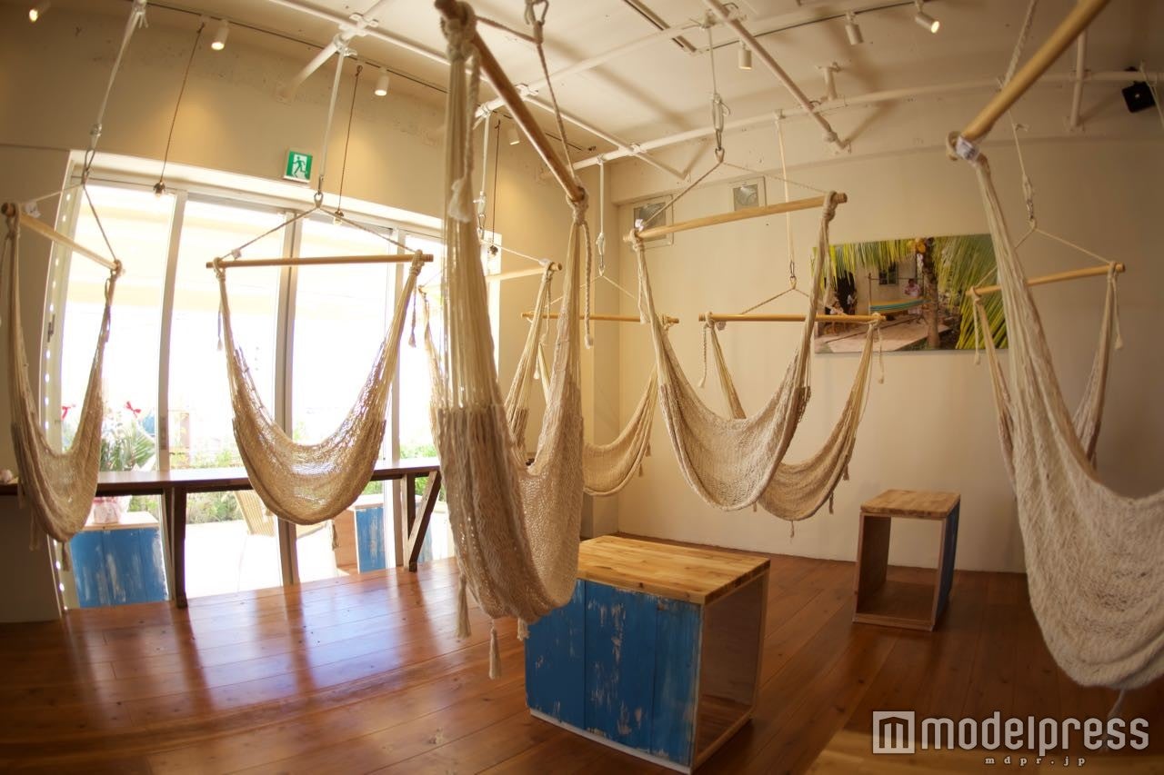 店内にはいくつもハンモックが／画像提供：ベントス