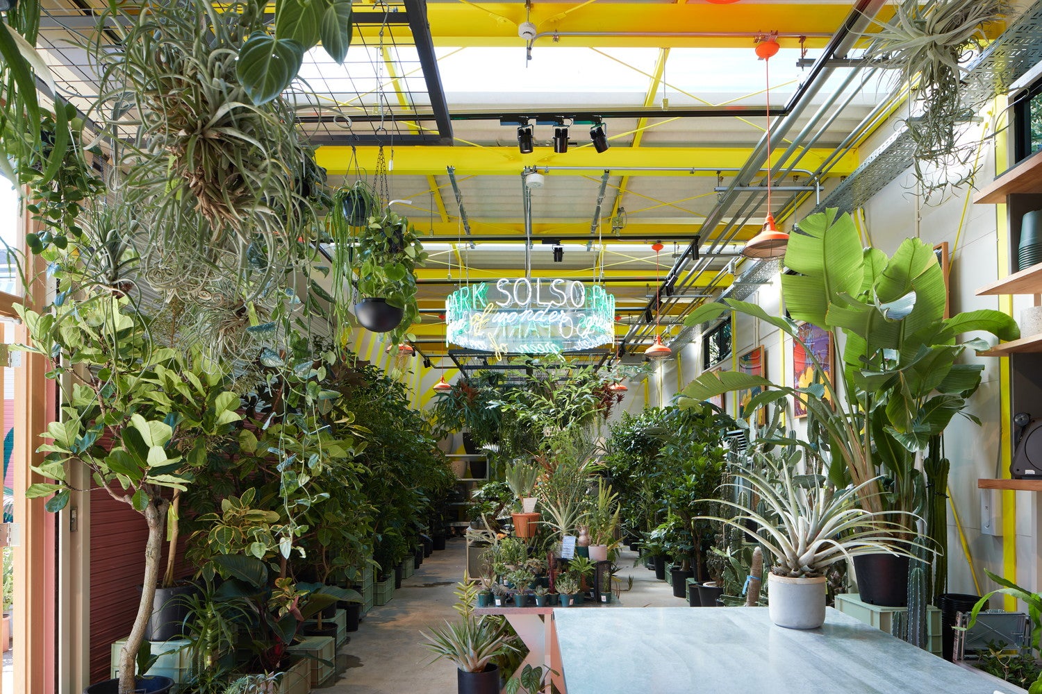 SOLSO PARK（提供画像）