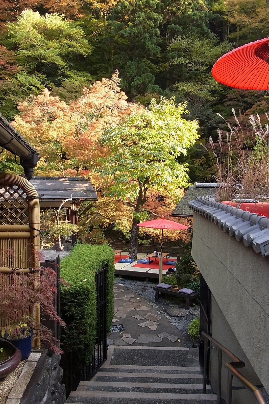 とがの茶屋／画像提供：とがの茶屋