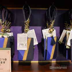 (C)モデルプレス