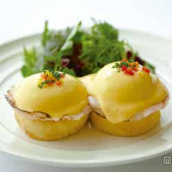 サラベスの卵料理の代表メニュー「クラシックエッグベネディクト」¥1,451【モデルプレス】