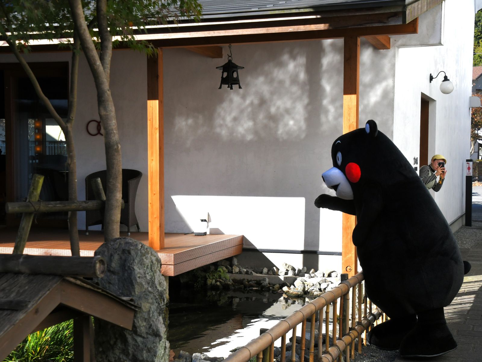 鯉にエサをあげてみる