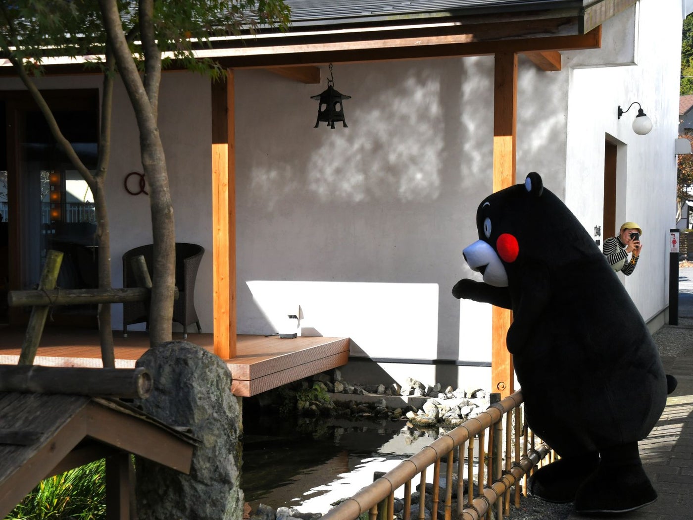 鯉にエサをあげてみる