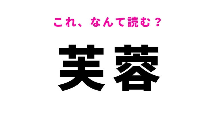 【漢字クイズ】「芙蓉」はなんて読む？花の名前を表す漢字！