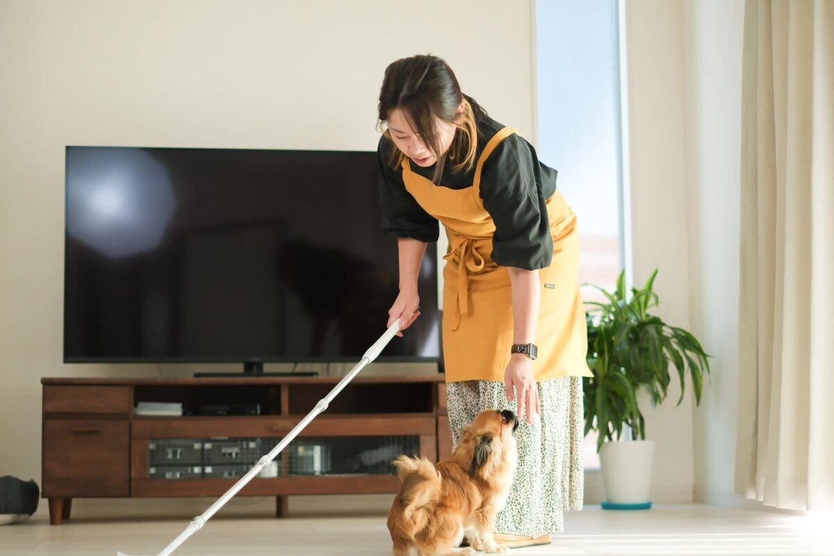 マスタードイエローのエプロンをつけた女性がリビングでフローリングワイパーを使って床掃除をし、足元で茶色の小型犬が見上げている様子