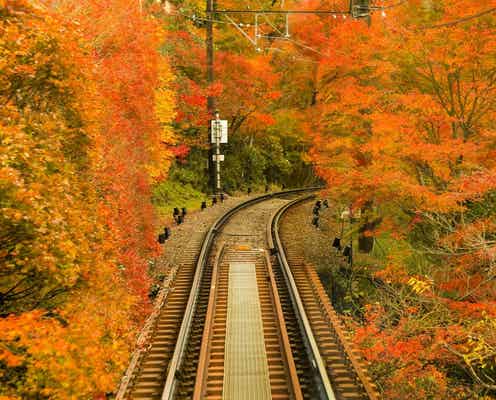 「鉄道」に詳しい旅のプロが感動した! 秋の行楽に本気で推したい名所3選【2025年最新】