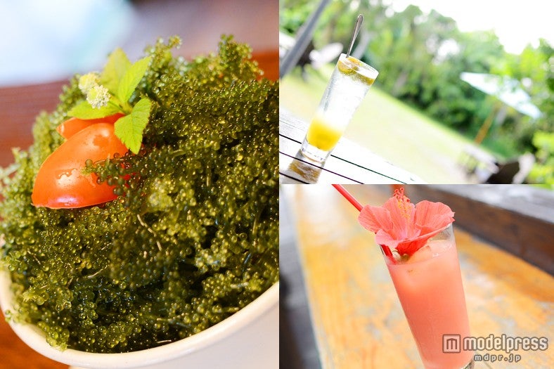 沖縄の緑が誘うリゾートカフェ