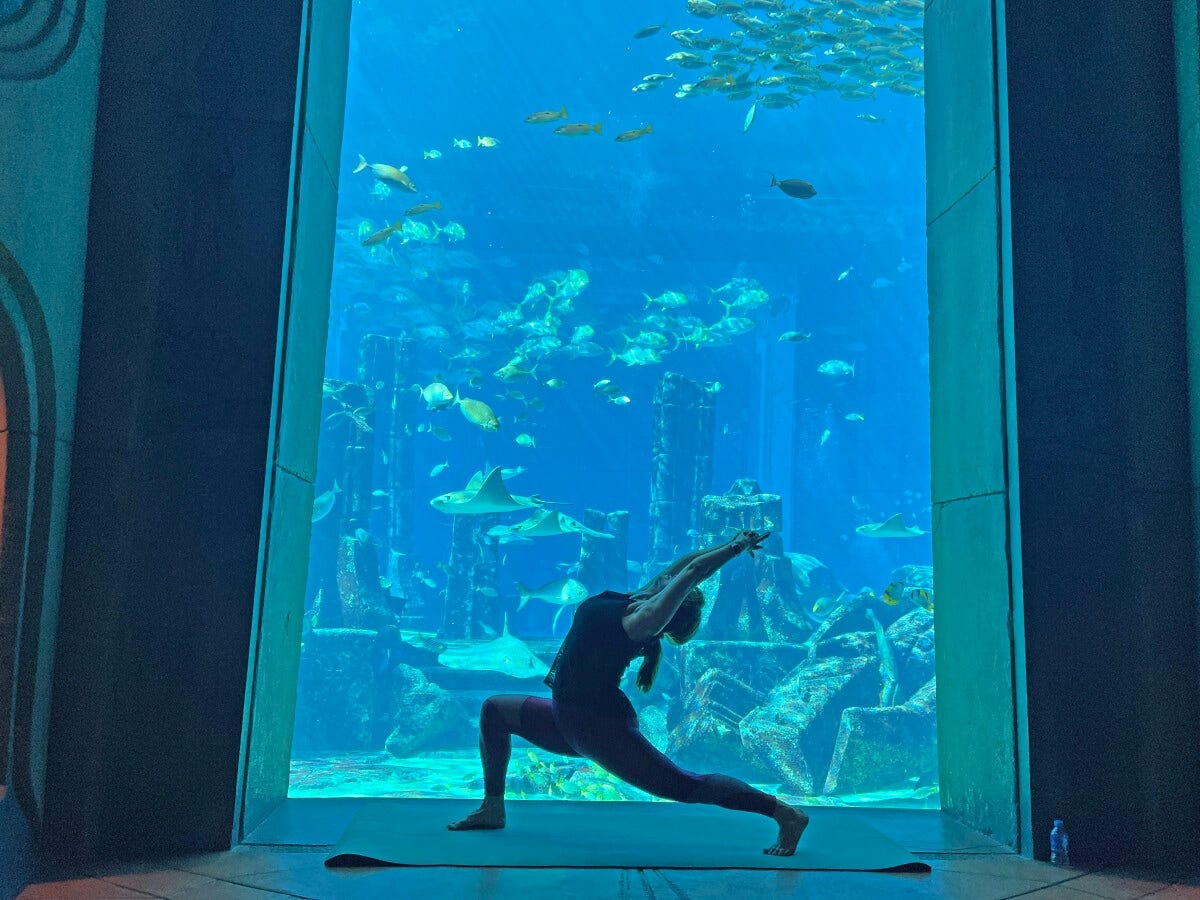 まさに水中にいるような気分を味わえるシチュエーション