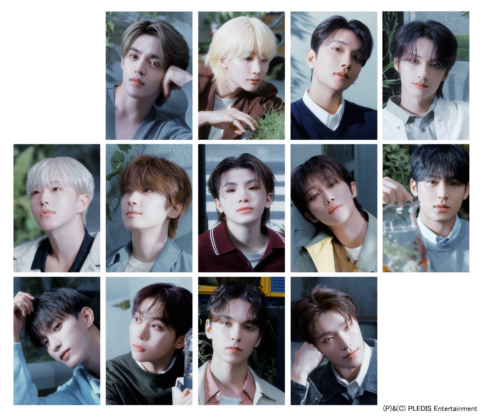 SEVENTEEN （提供写真）