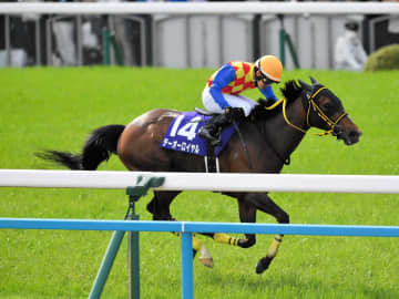 24年天皇賞・春覇者テーオーロイヤルが現役引退 今後はイーストスタッドで種牡馬入りの予定