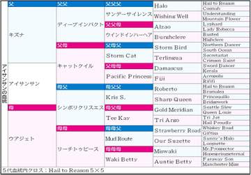 【ヴィクトリアM】アイサンサン 高い勝ち上がり率＆成長力に富む配合 21年エリザベス女王杯Vのアカイイト全妹