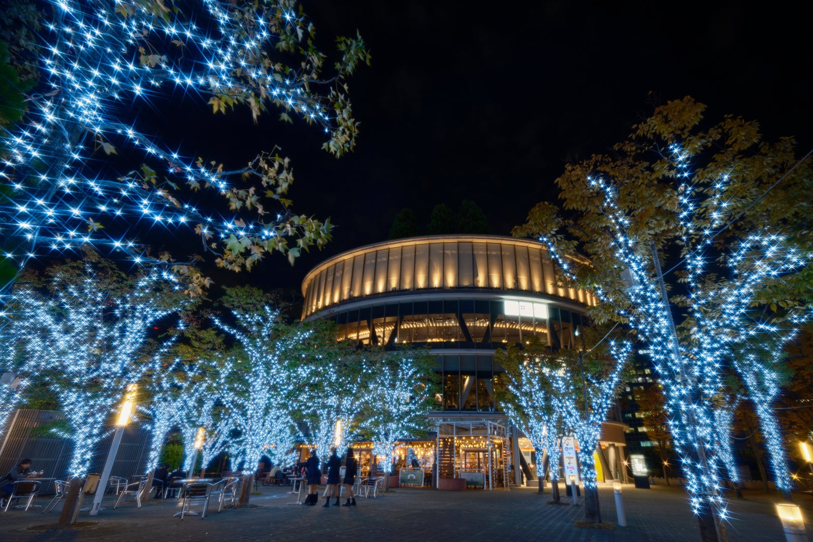 「TOKYO SNOW DOME CITY」（提供写真）