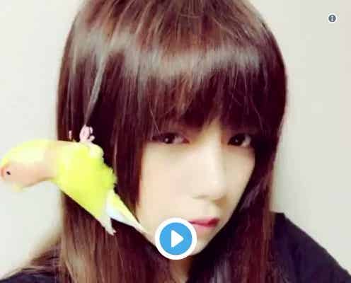 池田エライザの“ラブラブ動画”に悶絶の声「ペットになりたい」「女神かと思った」