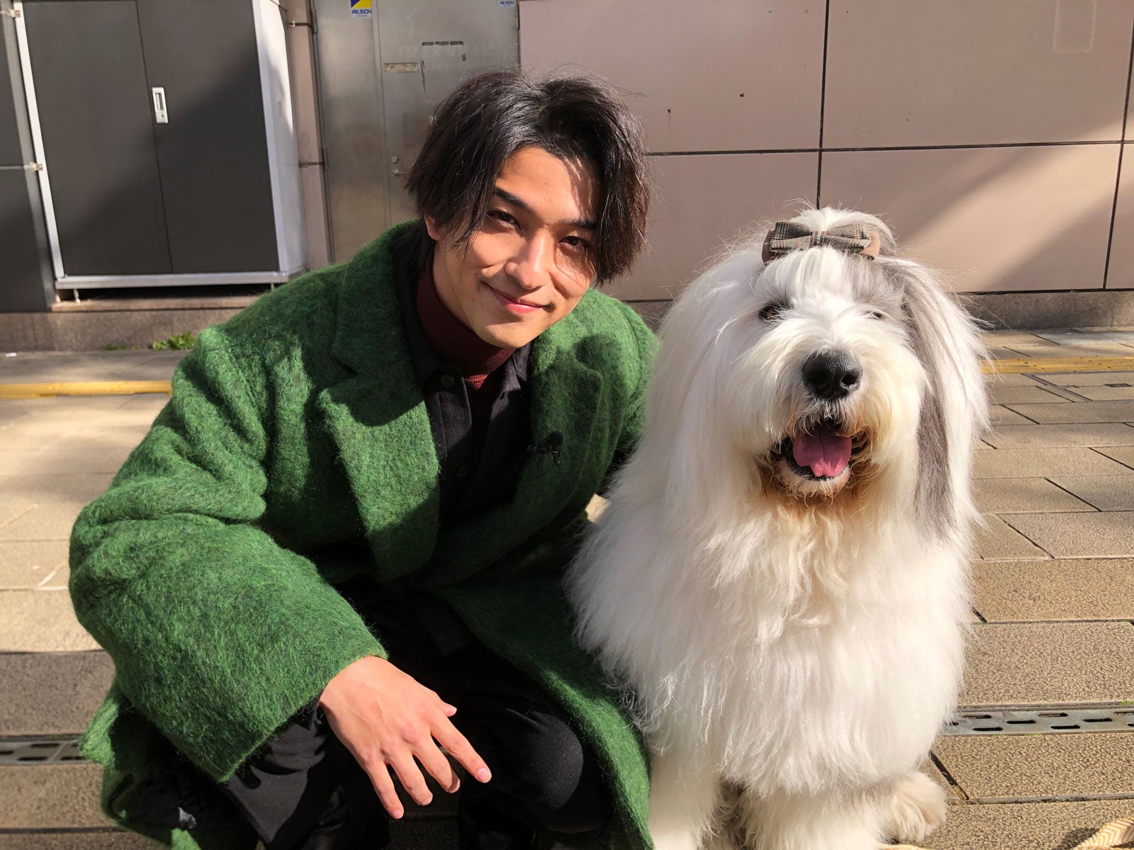 横浜流星、キックボクシングで迫力あるパンチ披露 ジム代表から絶賛「試合出られますよ」