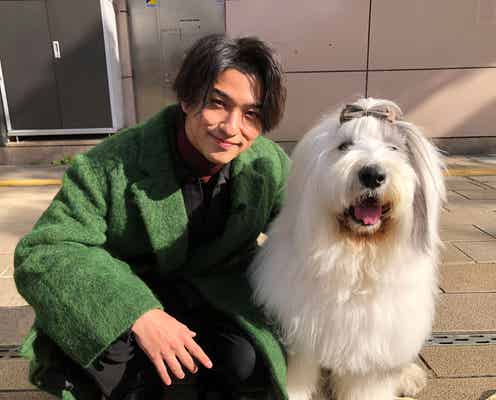 横浜流星、キックボクシングで迫力あるパンチ披露 ジム代表から絶賛「試合出られますよ」