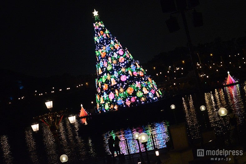 メディテレーニアンハーバーに輝くツリー