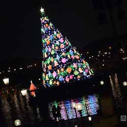 メディテレーニアンハーバーに夜に現れるクリスマスツリー（TDS）