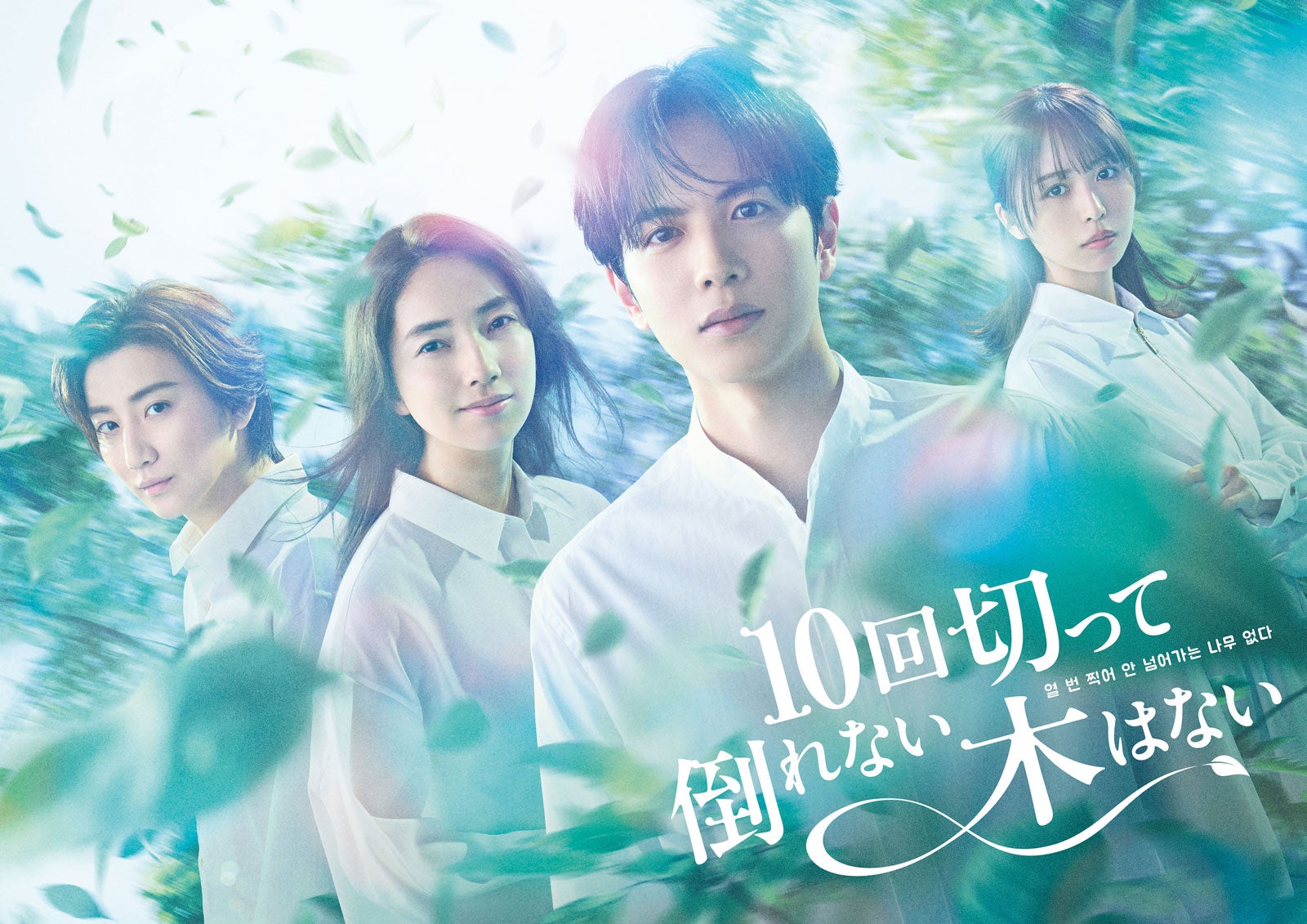 「10回切って倒れない木はない」キービジュアル（左から）京本大我、仁村紗和、志尊淳、長濱ねる（C）日本テレビ