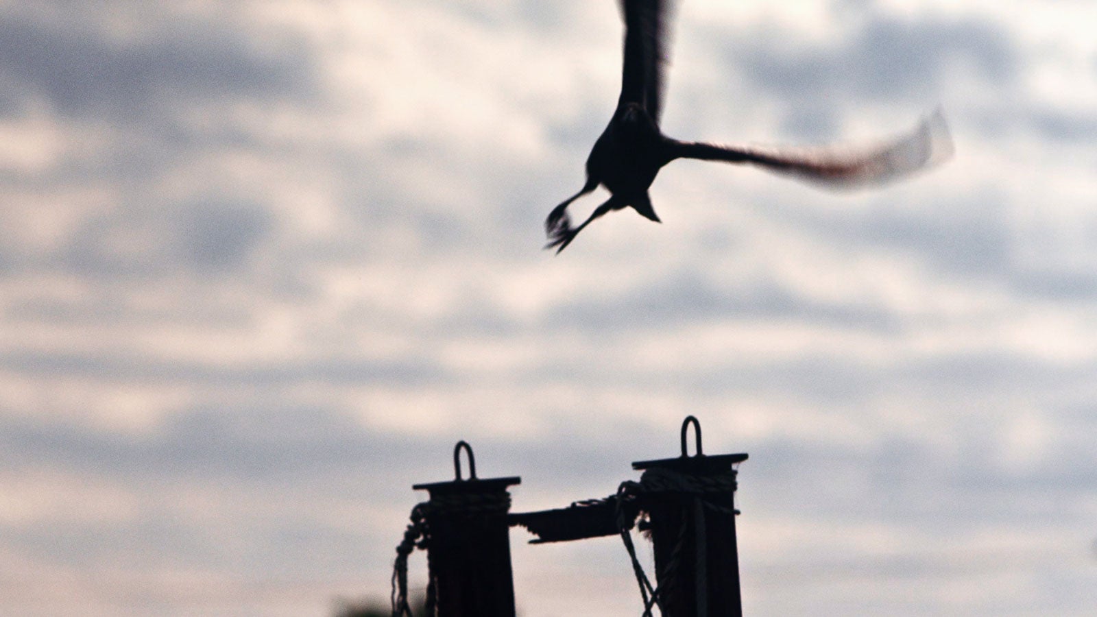 「人生の選択」篇より（C）2019-2020 SQUARE ENIX CO., LTD. All Rights Reserved. Co-Developed by gumi Inc. LOGO ILLUSTRATION:（C）2018 YOSHITAKA AMANO