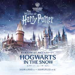 ホグワーツ・イン・ザ・スノー/All characters and elements (C) & TM Warner Bros. Entertainment Inc. WB SHIELD: (C) & TM WBEI. Publishing Rights (C) JKR