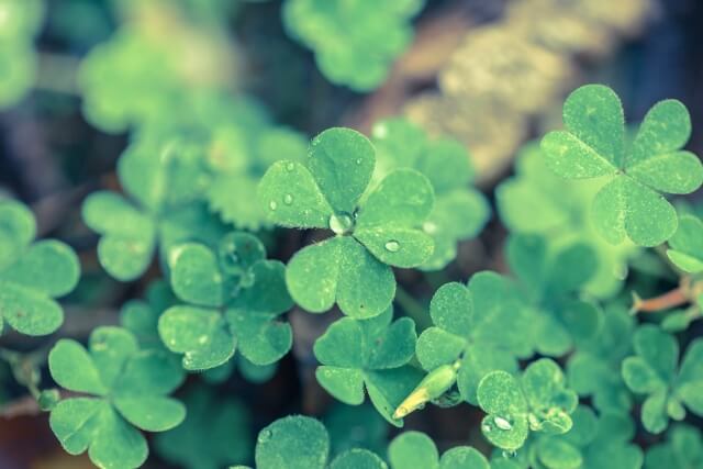 世界一愛おしい自分に。