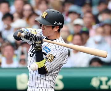 阪神・近本 左手首付近に死球を受け負傷交代 スタンドからは怒号、球場は騒然 代走・小野寺が送られる