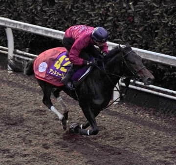 【ホープフルS】アンドゥーリル 余力十分 中内田師ゆかりの血統 一族悲願のG1タイトル奪取へ