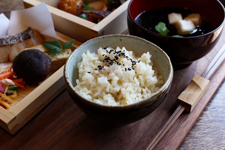 松庵文庫ランチ