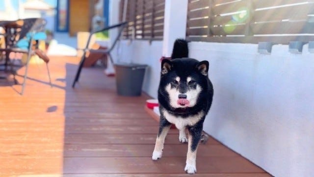 地元の人に愛され続けているラーメン店が「ラーメンも食べられるカフェ」にリニューアル！