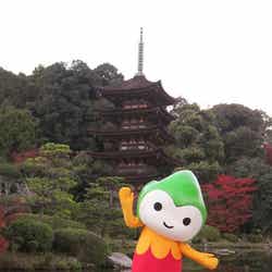 ちょるる