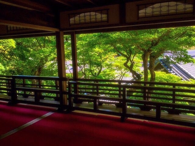 上書院からの眺め／画像提供：柳谷観音