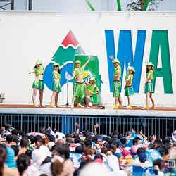 「ダンスプラッシュ!!」※昨年までの様子/画像提供:よみうりランド