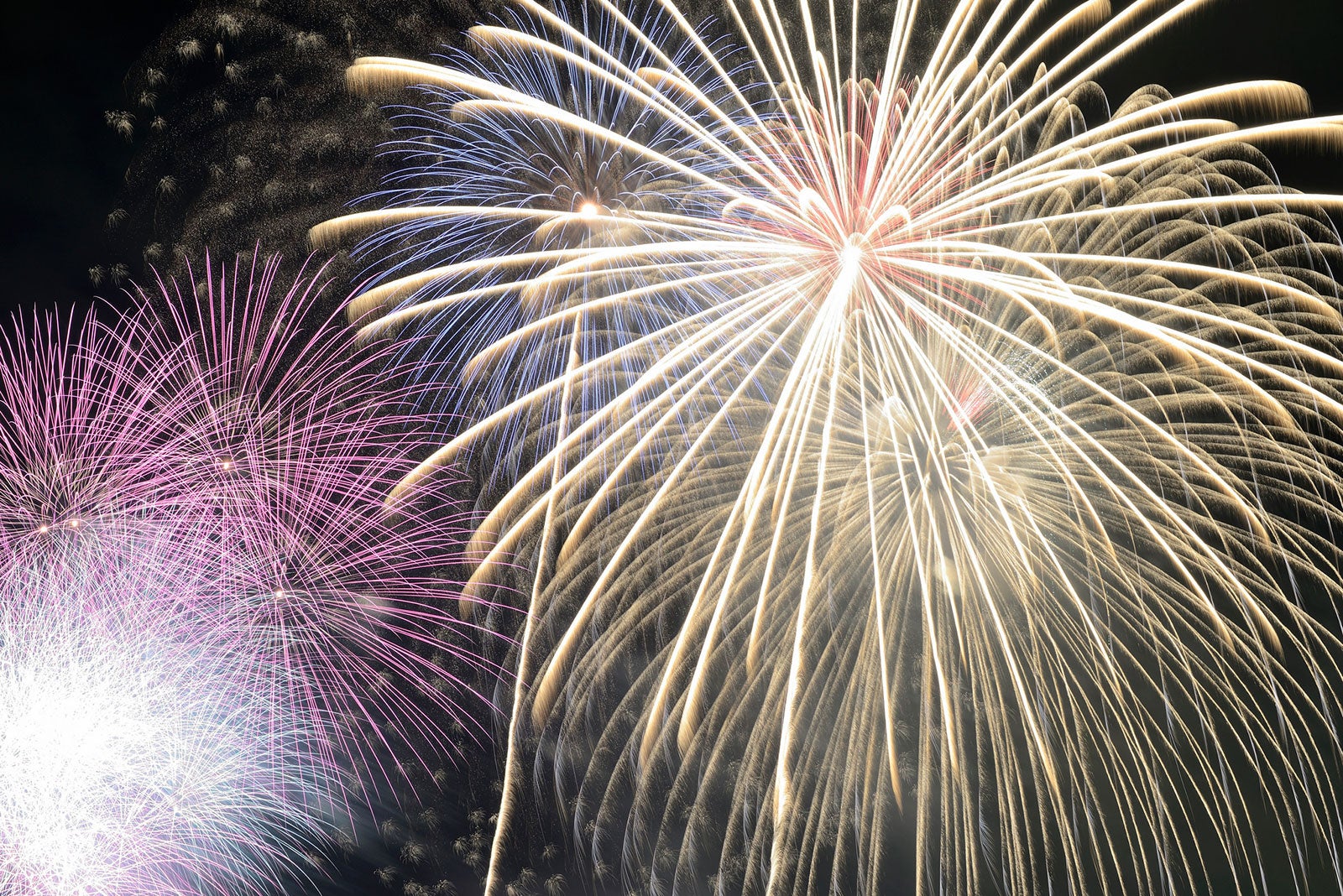 第55回いたばし花火大会 by kkctys