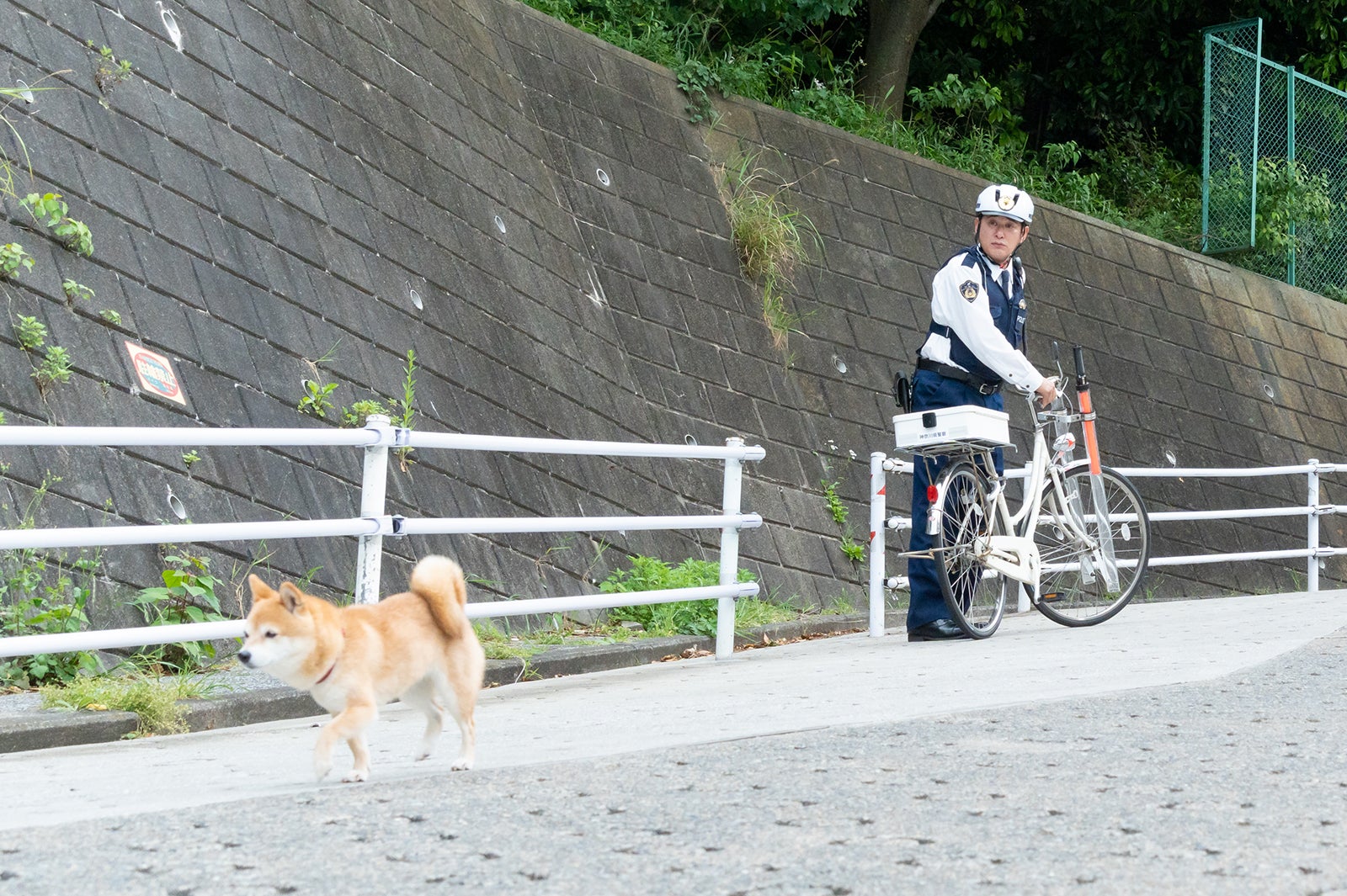 湯江タケユキ「ケイジとケンジ、時々ハンジ。」第7話より（C）テレビ朝日
