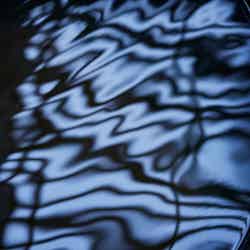 みささ/画像提供:紀伊乃国屋