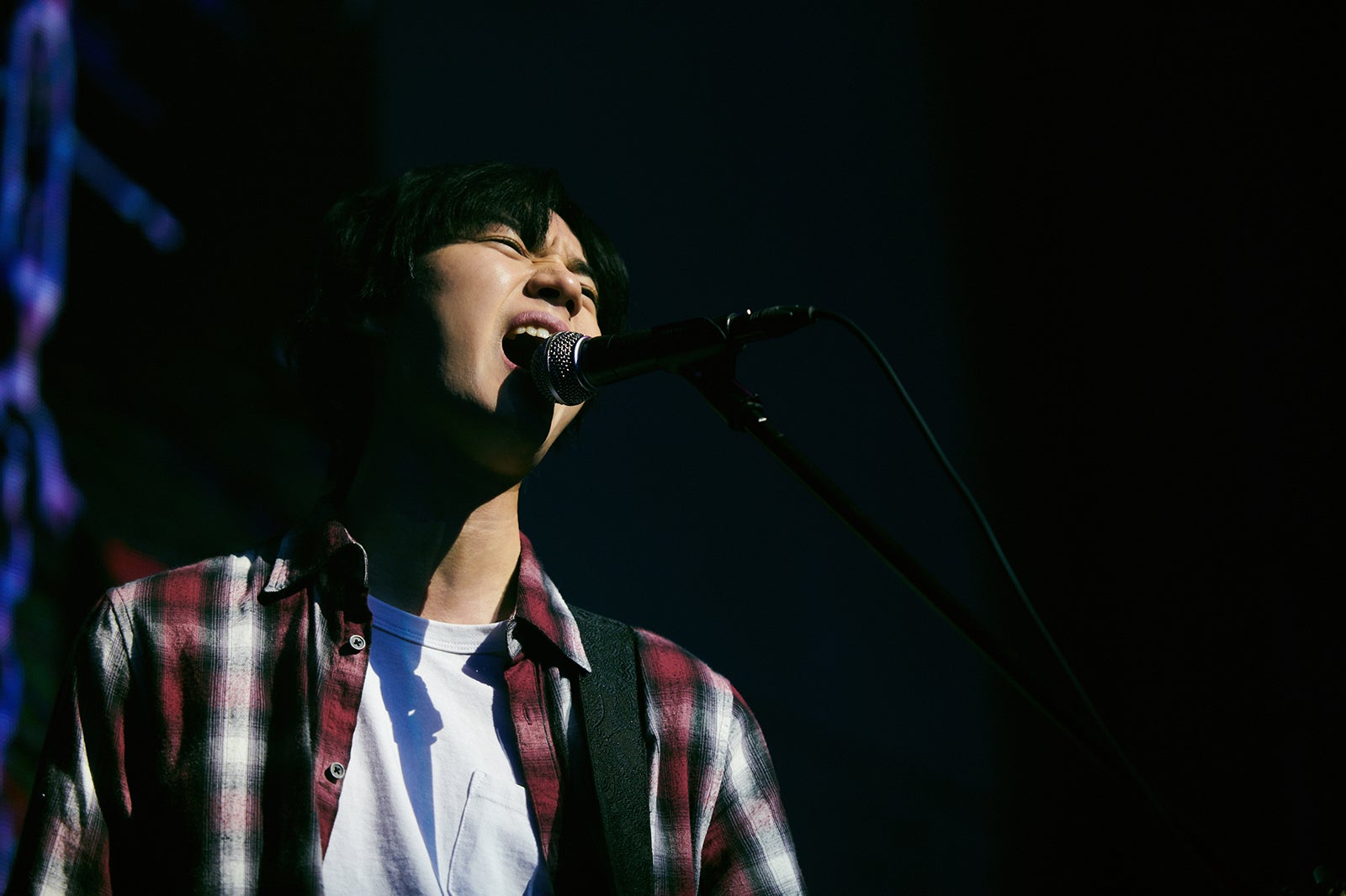 桜田通／LACTIC ACIDのライブカット（提供写真）