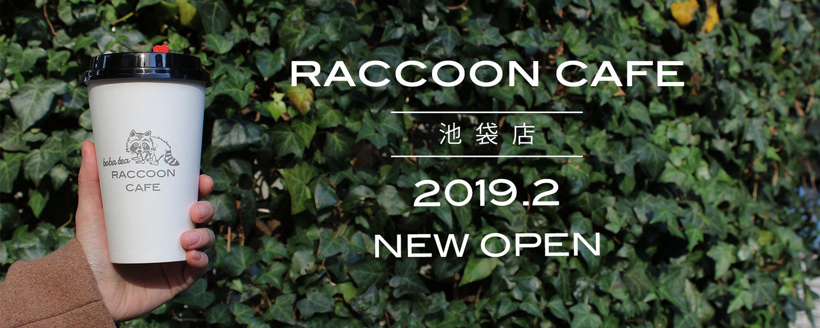 RACCOON CAFE／画像提供：Babydoor